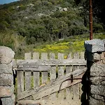 La Tana Di Lu Maccioni *