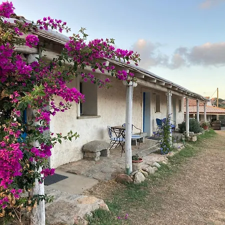 Farm stay La Tana Di Lu Maccioni *
