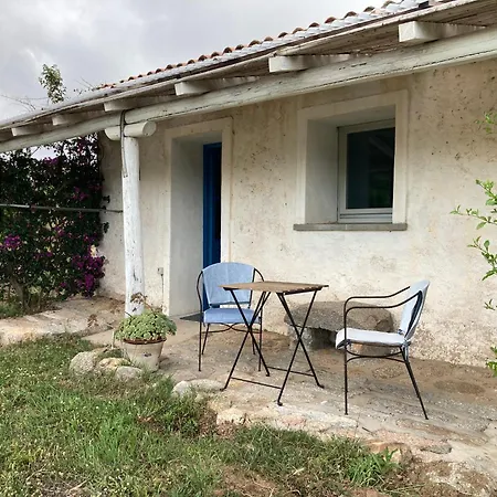 La Tana Di Lu Maccioni Farm stay *
