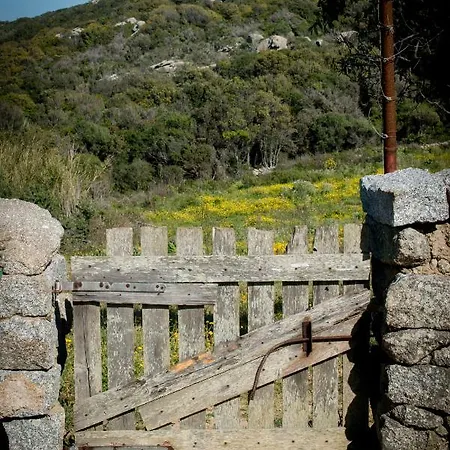 La Tana Di Lu Maccioni *