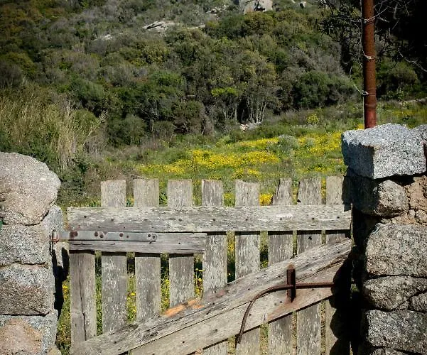 La Tana Di Lu Maccioni *